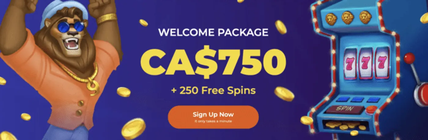 ck777bet